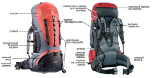 deuter-55-10
